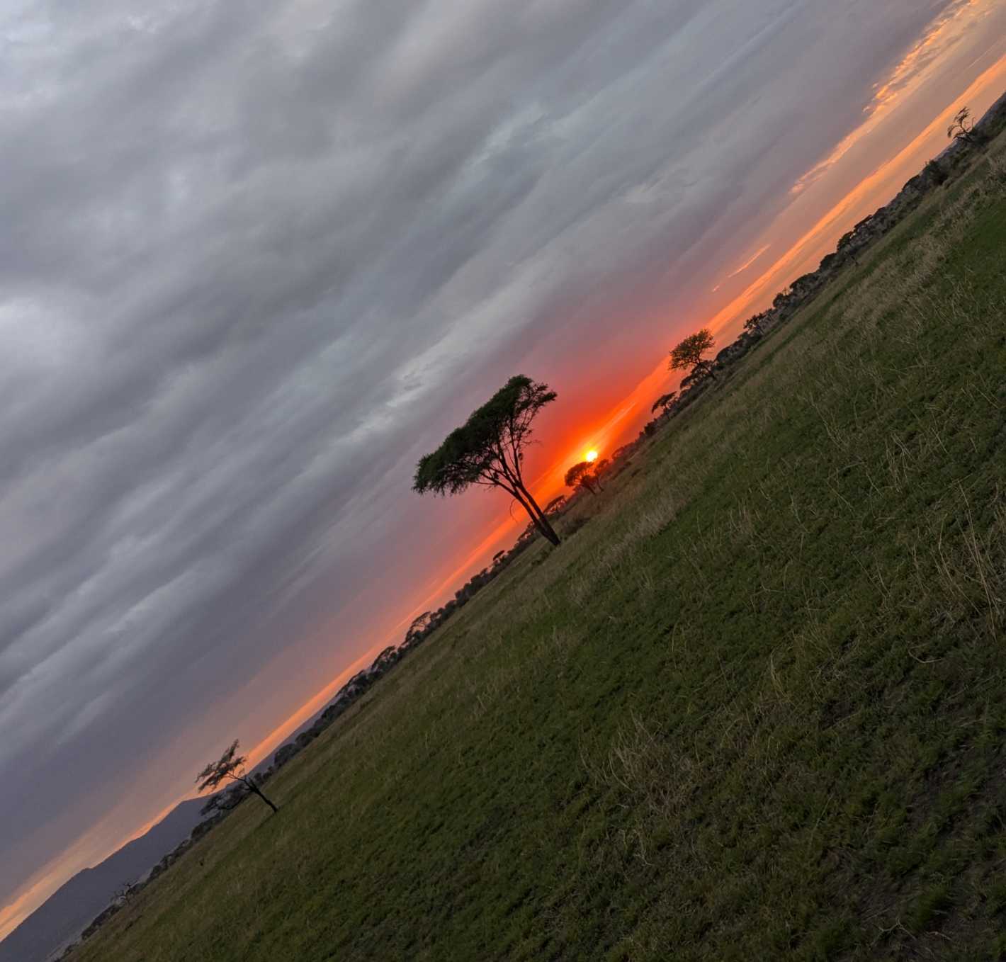 Tanzania Photography Safari